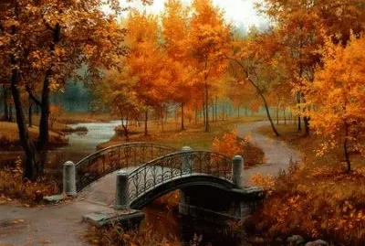 PUENTE EN EL BOSQUE (29)