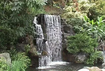 Mayberg Water Falls-LA Abortrtum Botanic Gardens
