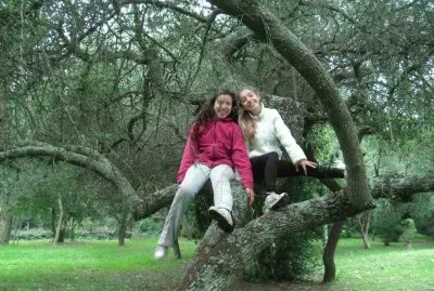 en el arbol