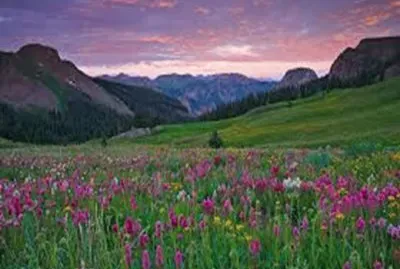 Rocky Mountain Spring