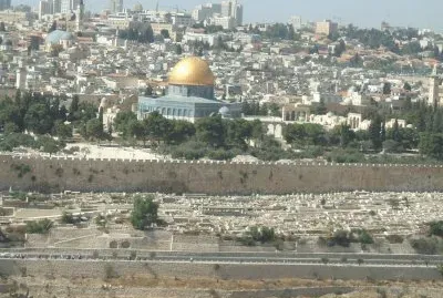 ×ª×ž×•× ×•×ª ×©×¦×™×œ×ž×ª×™