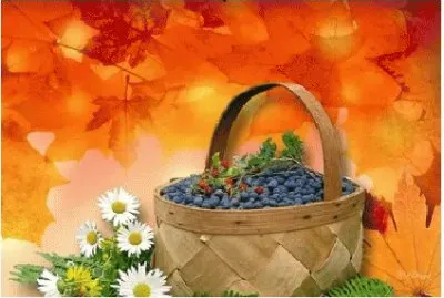 image jigsaw puzzle