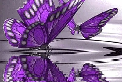 Butterflies on the Water