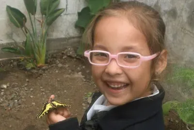 mariposa tigre cola de golondrina, acaba de nacer