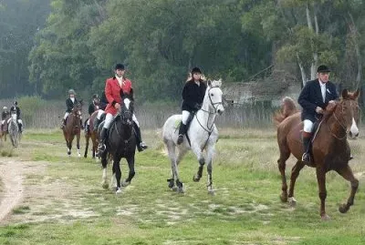 cacerÃ­a del zorro