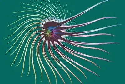 flagellum jigsaw puzzle