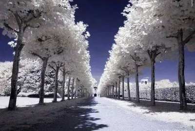 paisaje
