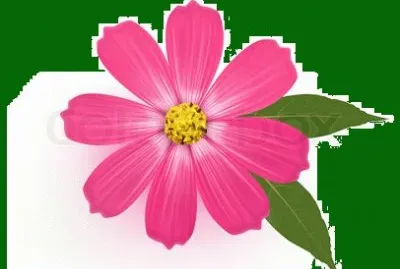 image jigsaw puzzle