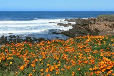 Montana de Oro State Park