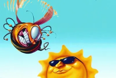sol jigsaw puzzle