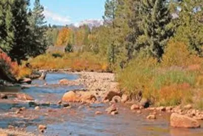 Prime trout stream - Colorado