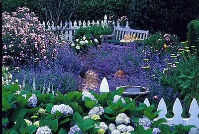 Beautiful Garden
