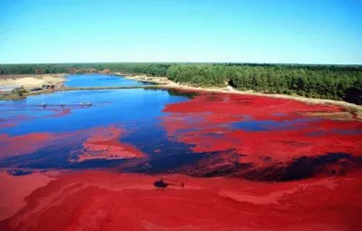 פאזל של Cranberry bog