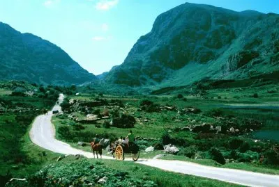 פאזל של horse and buggy