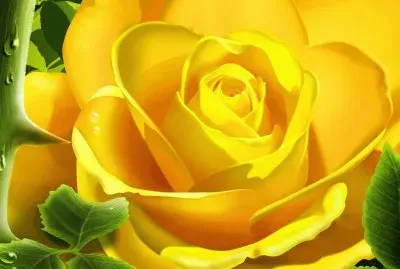 פאזל של Rosa Amarilla
