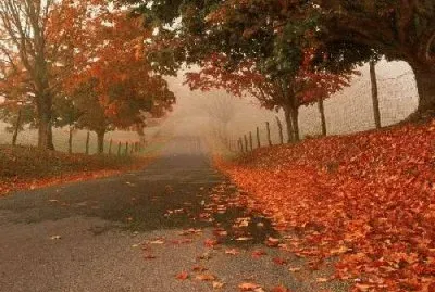 OtoÃ±o