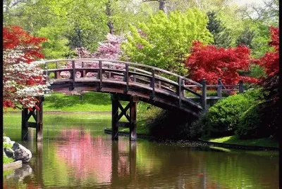 Jardin en japon