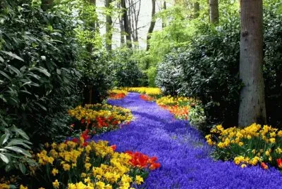 Primavera flores
