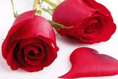 rosa corazon