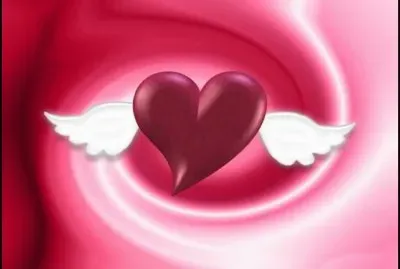 Alas de amor