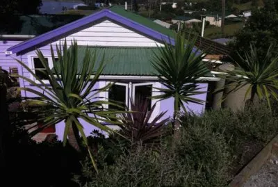 פאזל של Purple Vacation Home-New Zealand