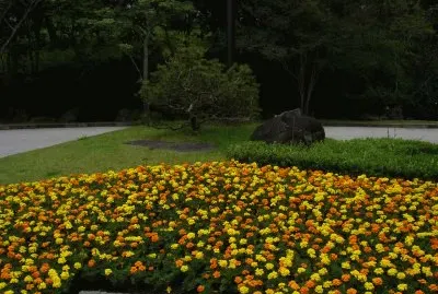 Jardim do Solo Sagrado, SP