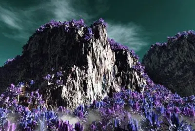 Xenoflora Planet Chorus-Video Game
