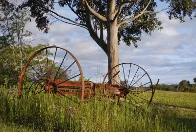 country life