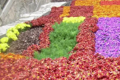 Temps de flors 2010
