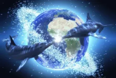 Delfines jigsaw puzzle