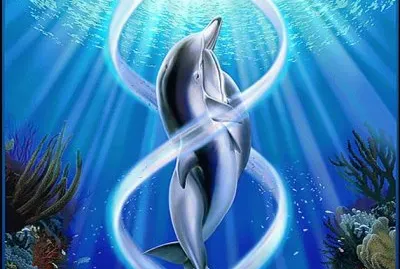 Delfin fantasia