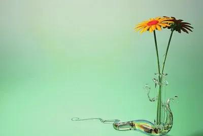 Flor naranja