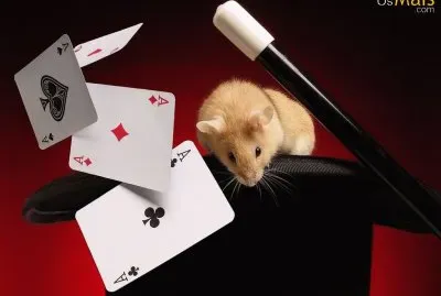 d598a9235e jigsaw puzzle