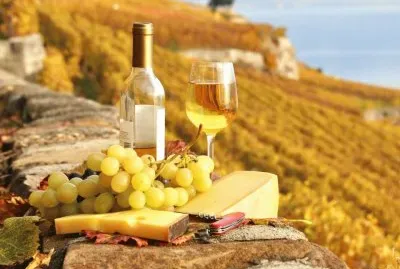 Ca 304 jigsaw puzzle