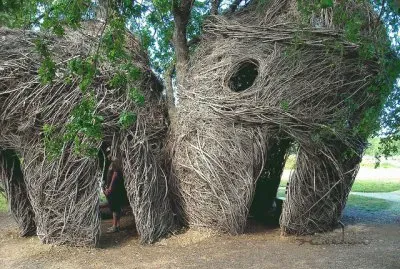 Lookout Tree-Artist Creation-Redding