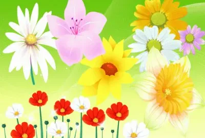 image jigsaw puzzle