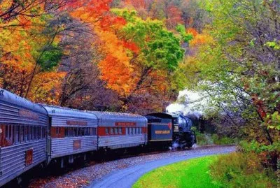 Colorful Train Ride