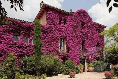 casas