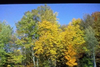 PAISAJES NATURALES