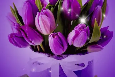 Purple Tulips-Art