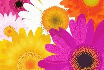 image jigsaw puzzle