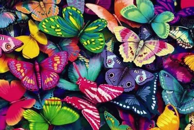 butterflies jigsaw puzzle