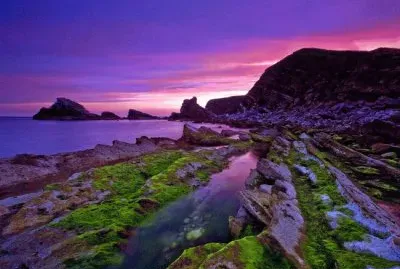 Majestic Purple Mountain