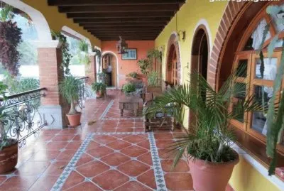 FaraÃ³n