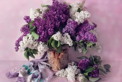 Lilacs-Photography Art