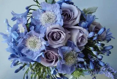 â—˜â™£