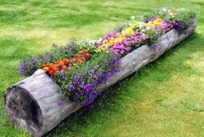 פאזל של Jardinera