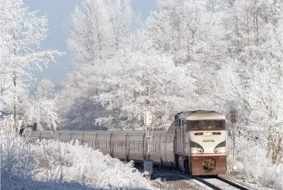 snowy