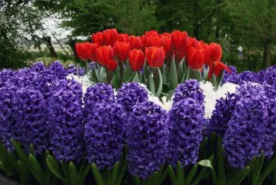 â—‹