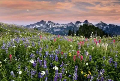 tatoosh range
